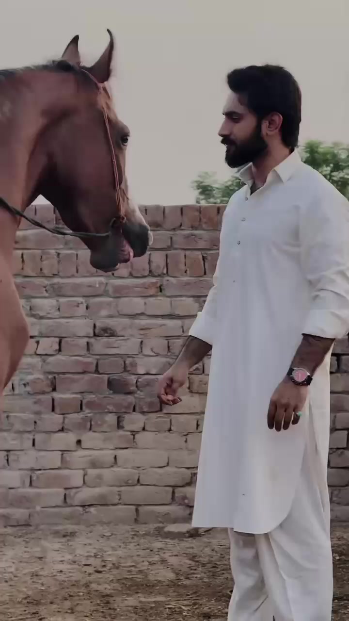 @+923497388660 Syed 🥰