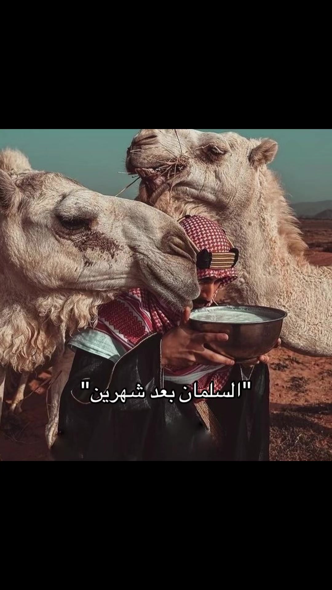 @الـــســلــمــي🇸🇦⚔️