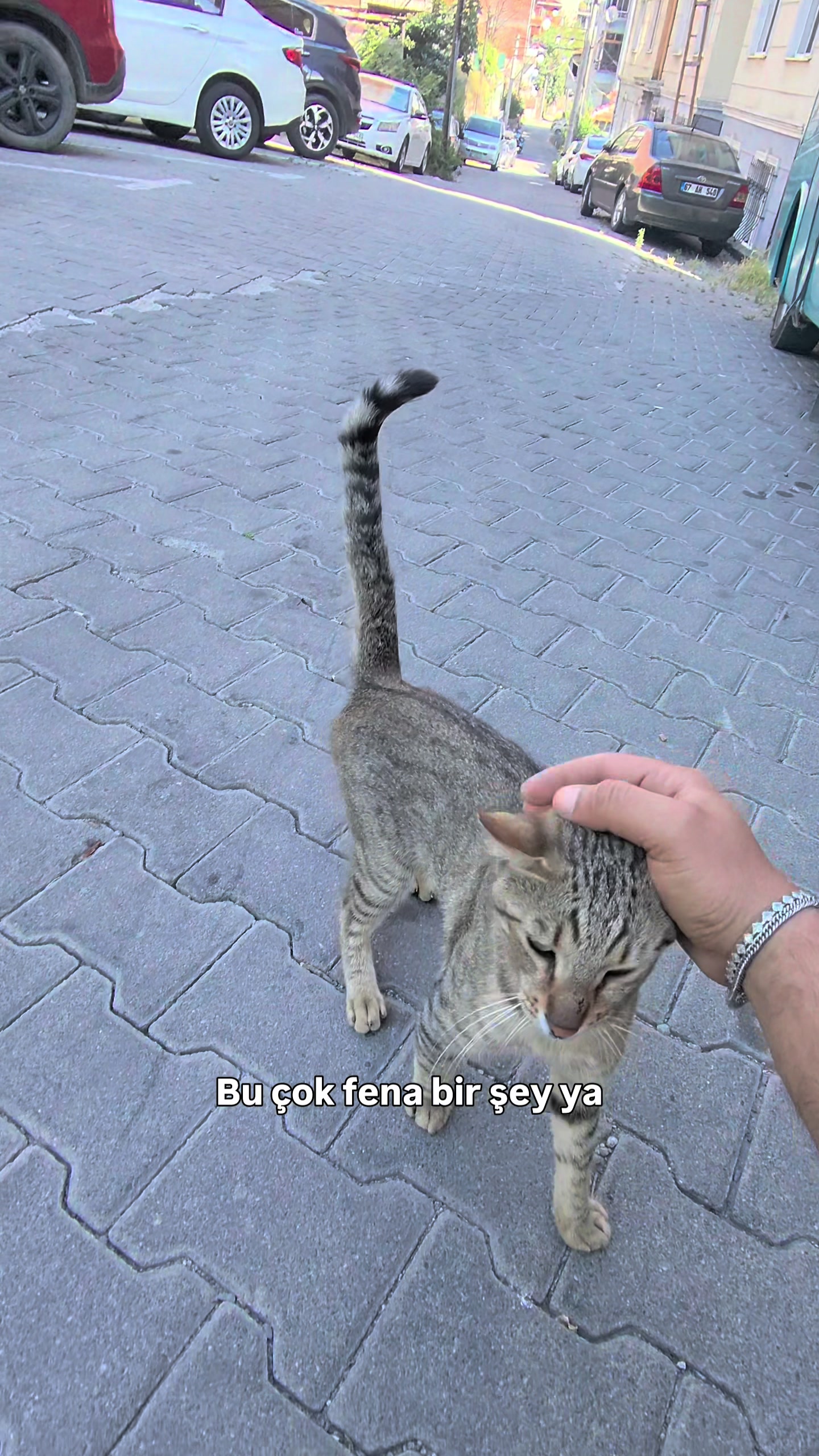 @recep katırcı