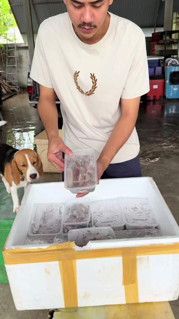 @ปิงปลาสด อาหารทะเลแปรรูป