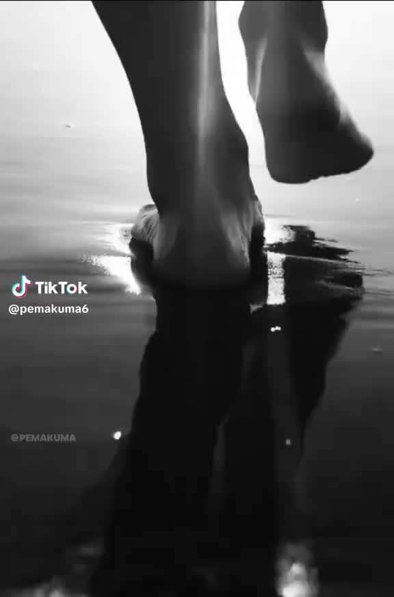 @René daniel Ramos silva