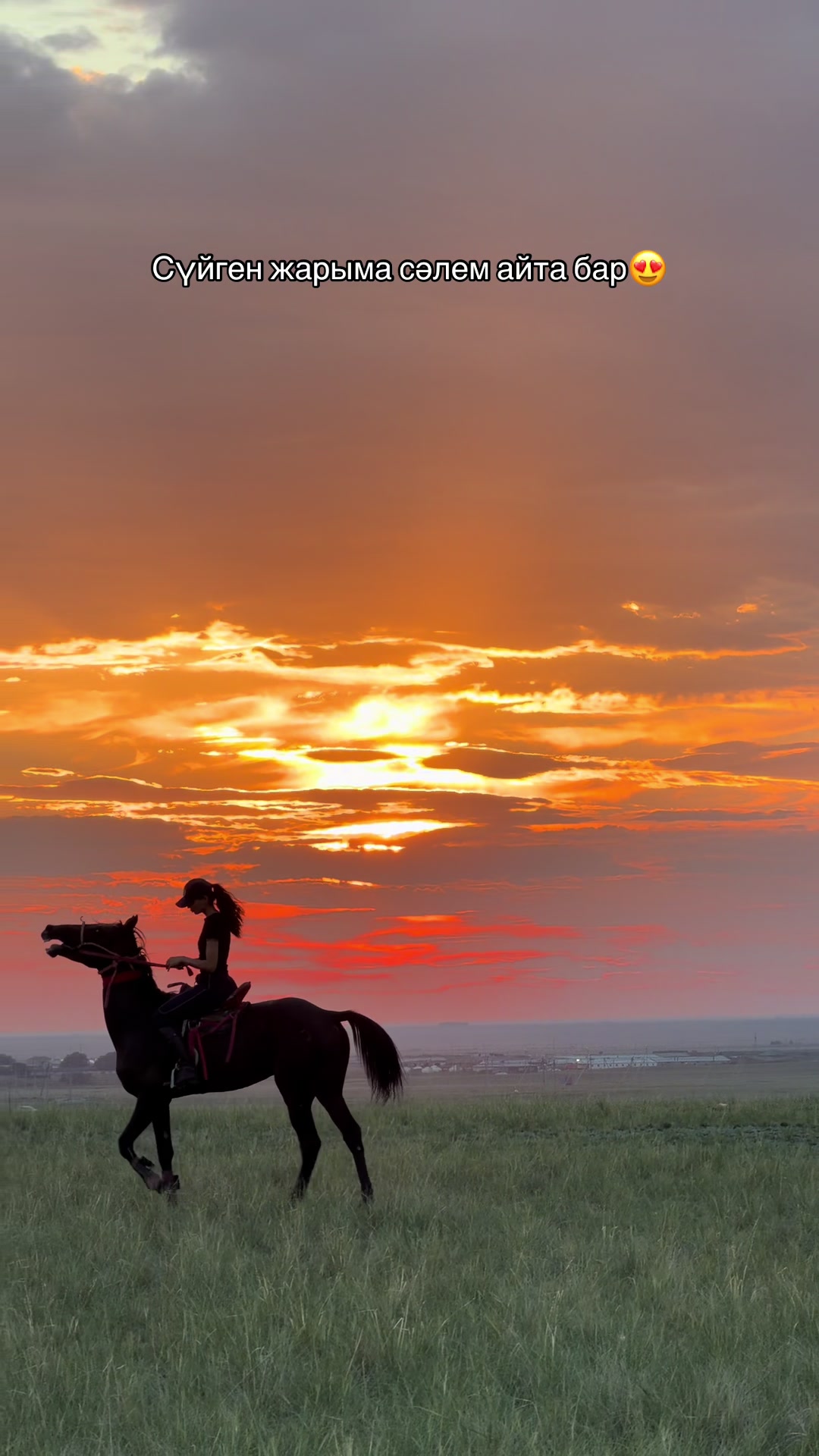 @NAZEKA🐎