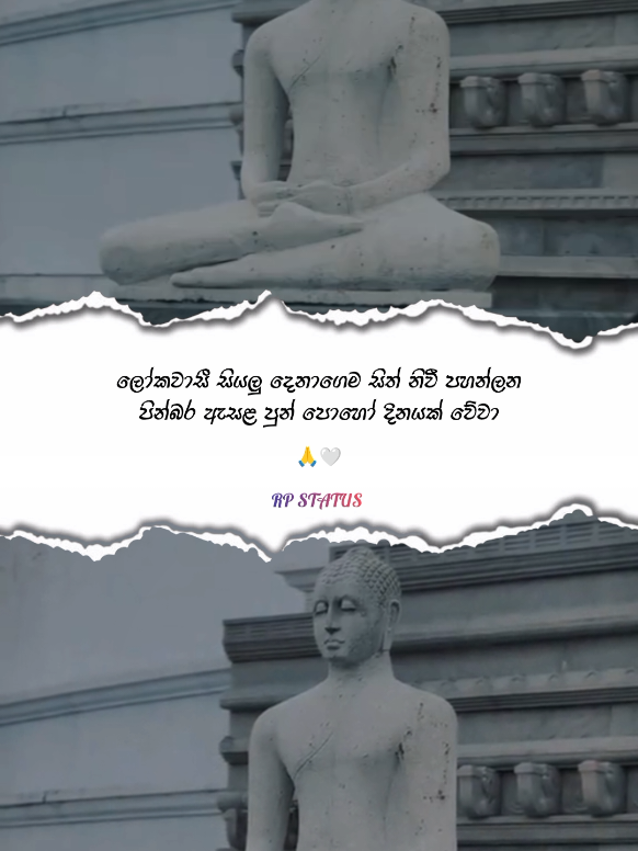 @||> RP 🇱🇰🐰❤️ <||