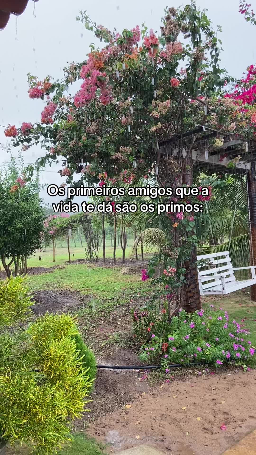 @Yure Aurelio
