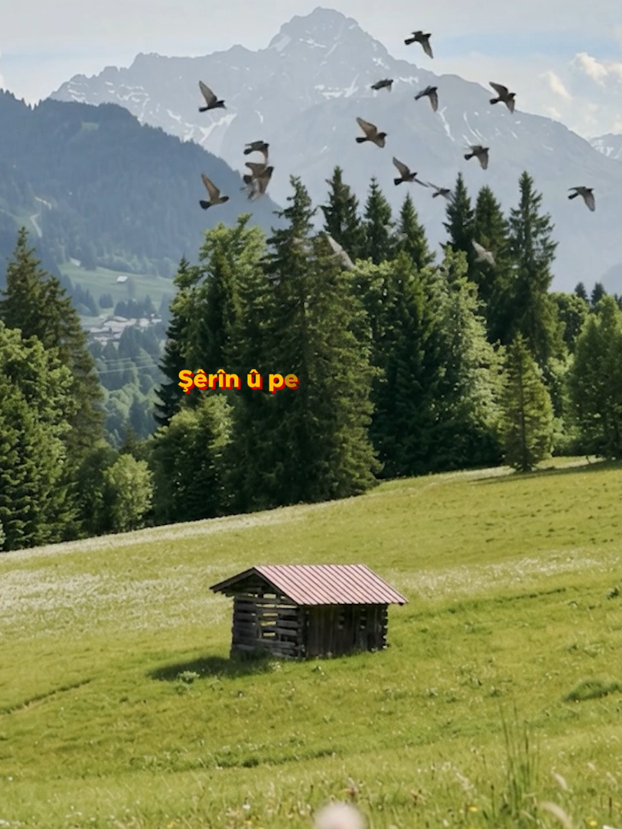@Mehmet Atlı