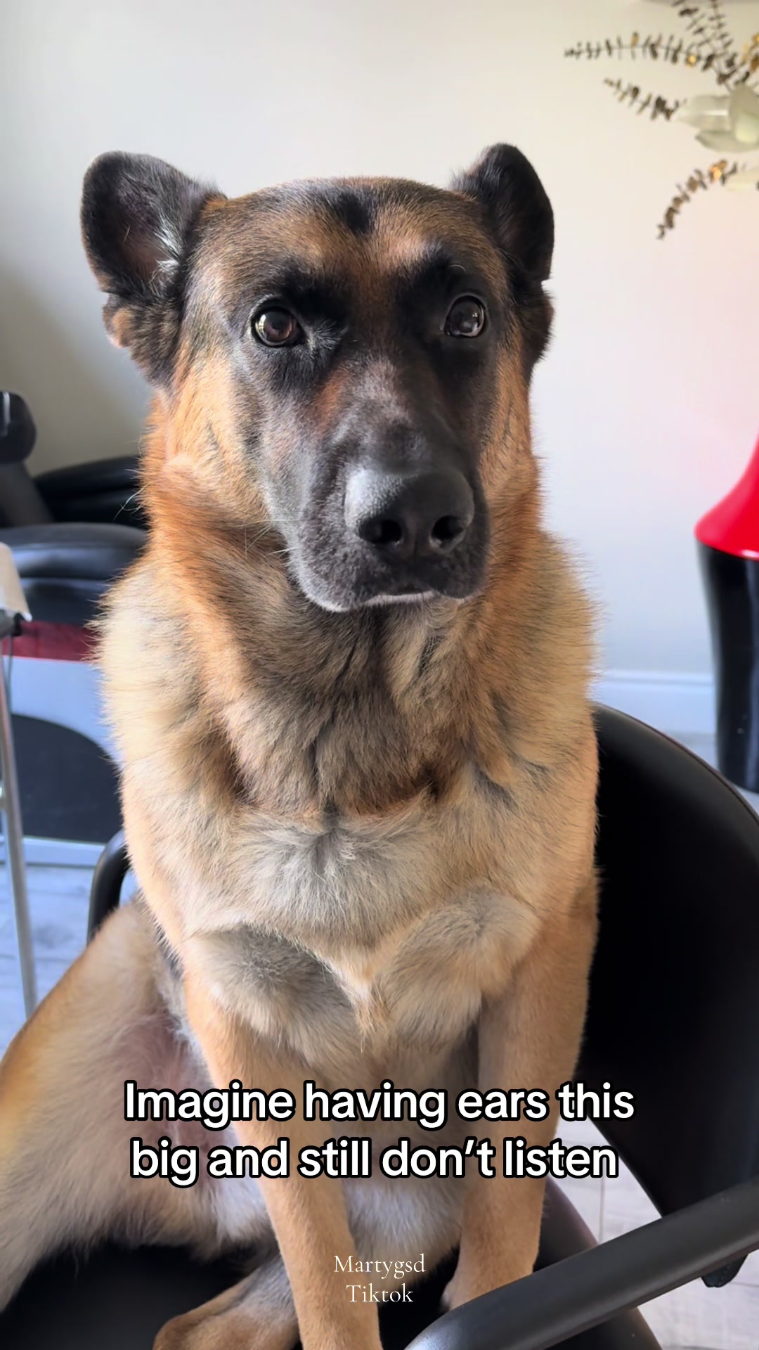@Martygsd