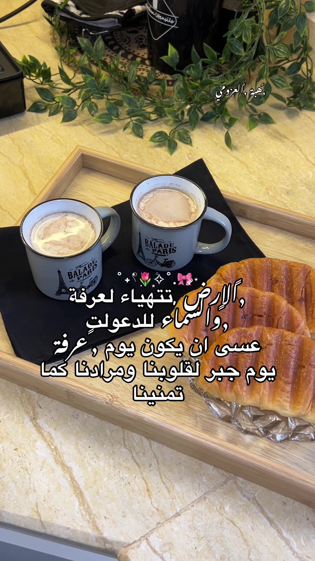 @هبة العزومي🩵🧸