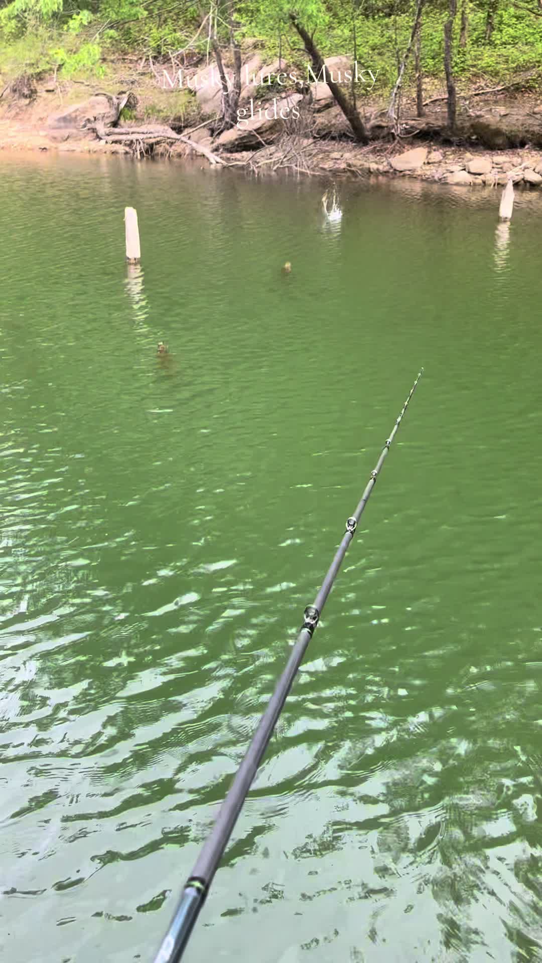 @JW Lures