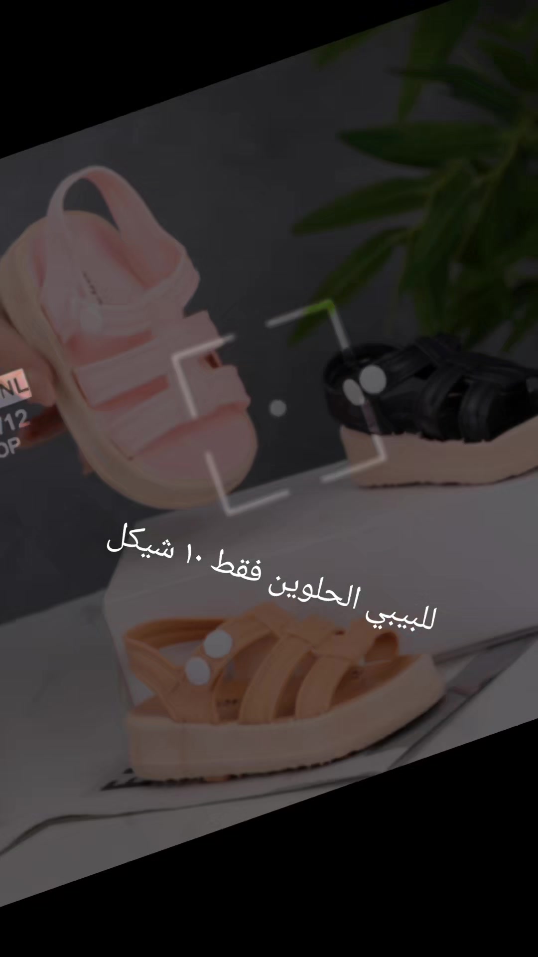 @دجاني مول