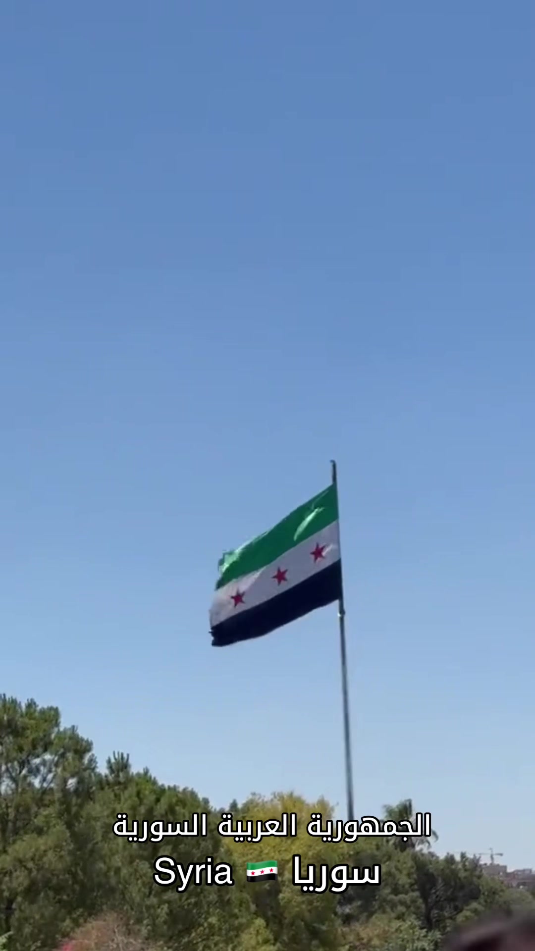 @vip.syrian