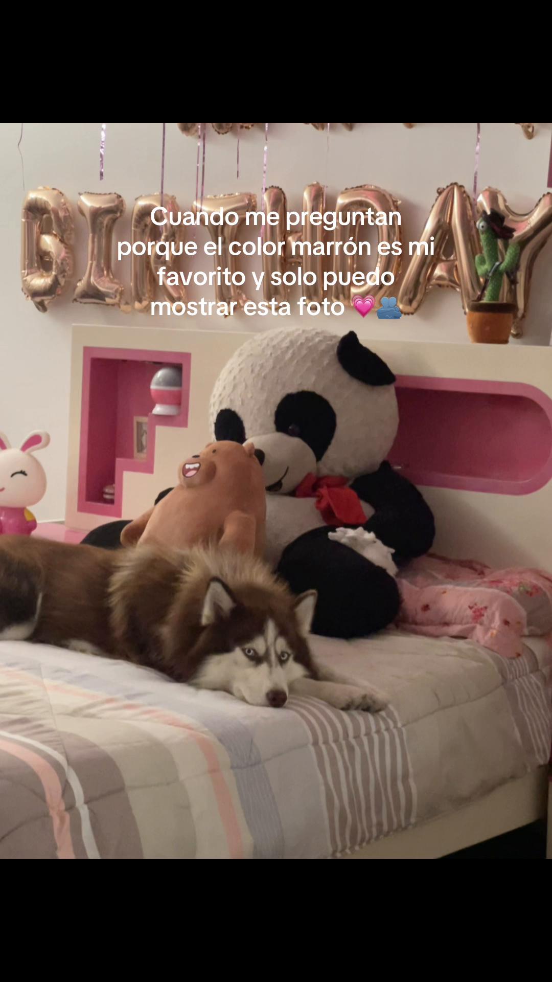 @Angie Brigitte