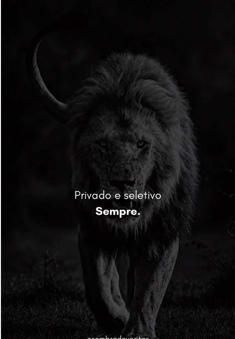@Sombra de Veritas