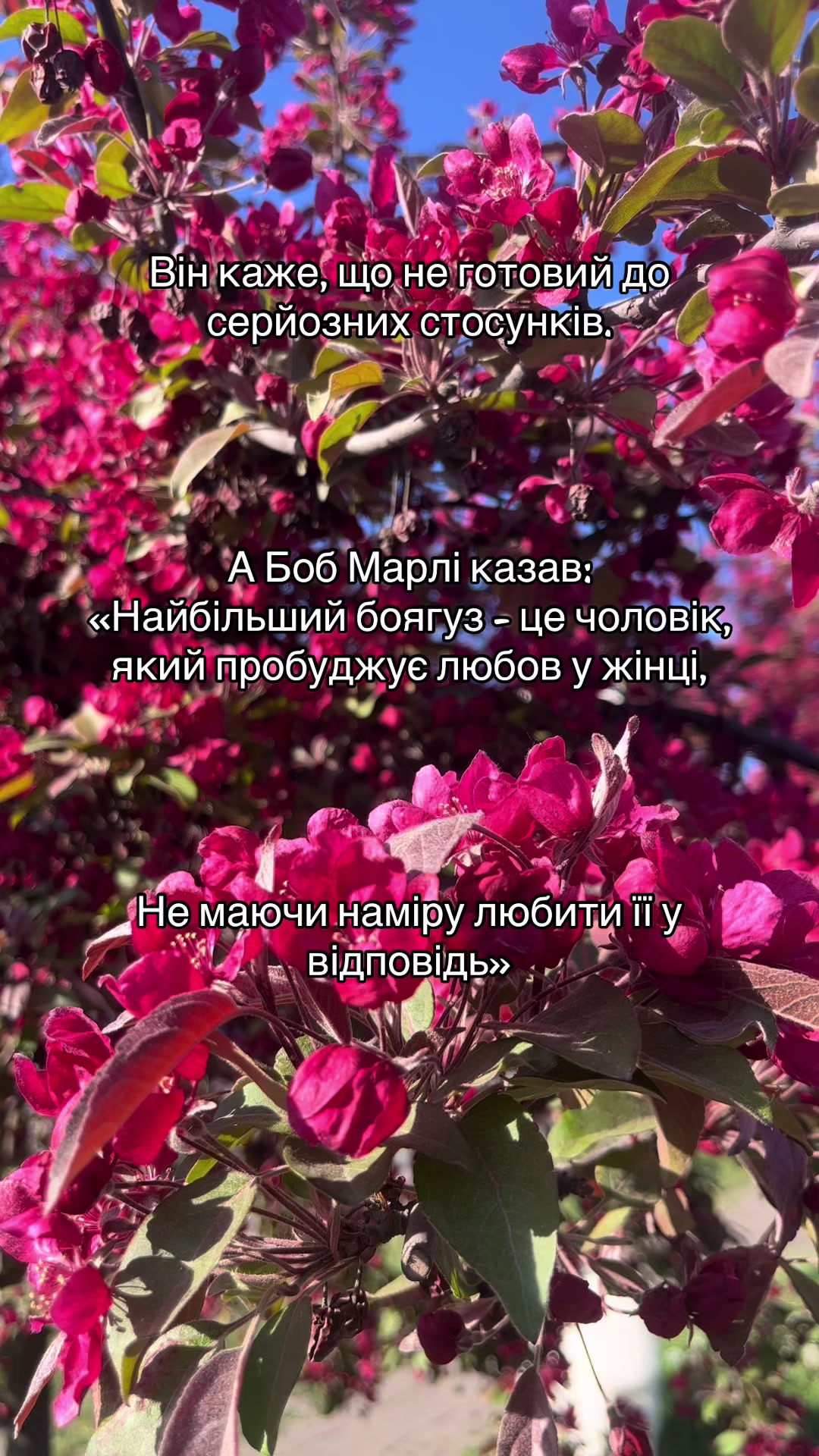 @irazhy
