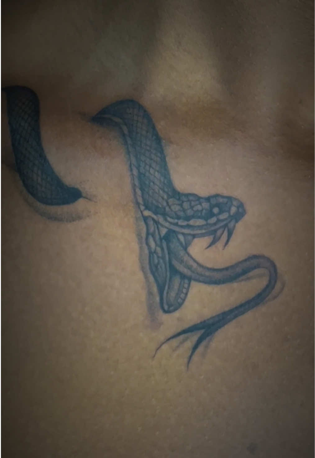 @BAVAA TATTOOS