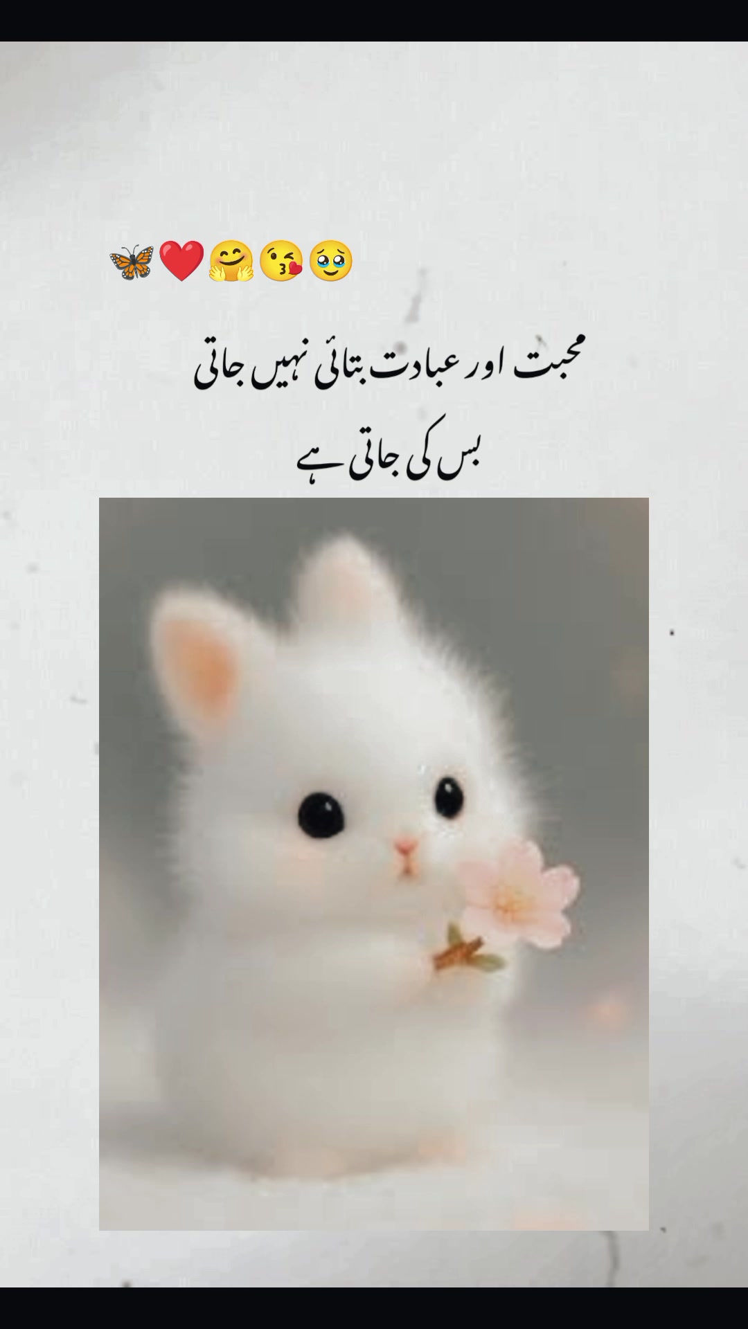 @โ
Zoyaโ