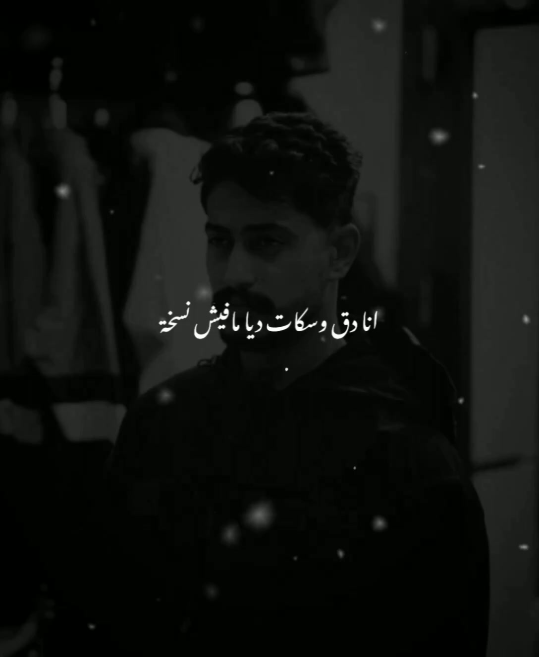 @F A N S _ R E A L