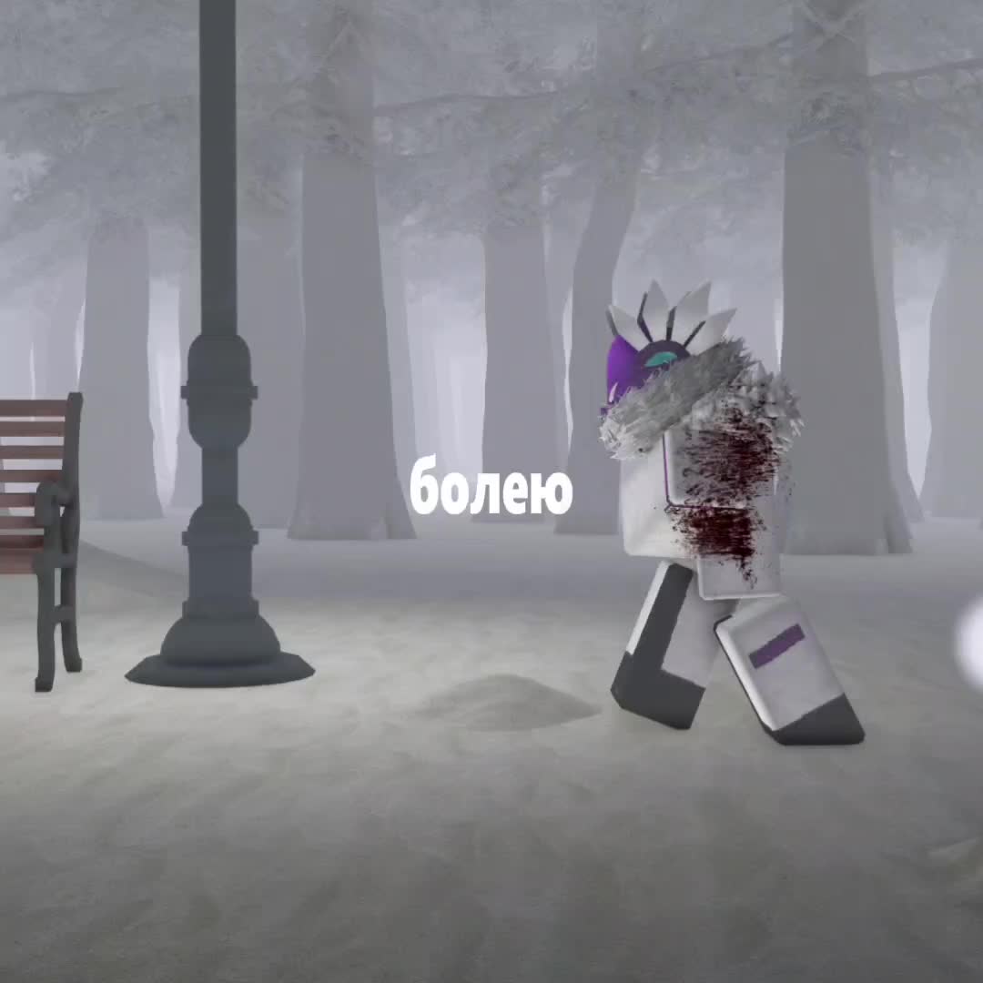 @Conifen_old2
