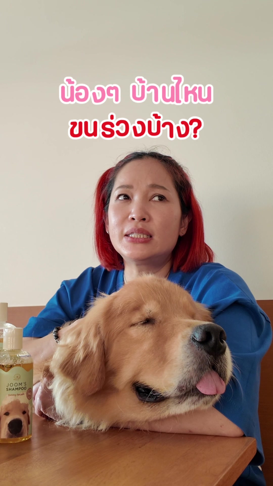 @Joommeng Mee Arai