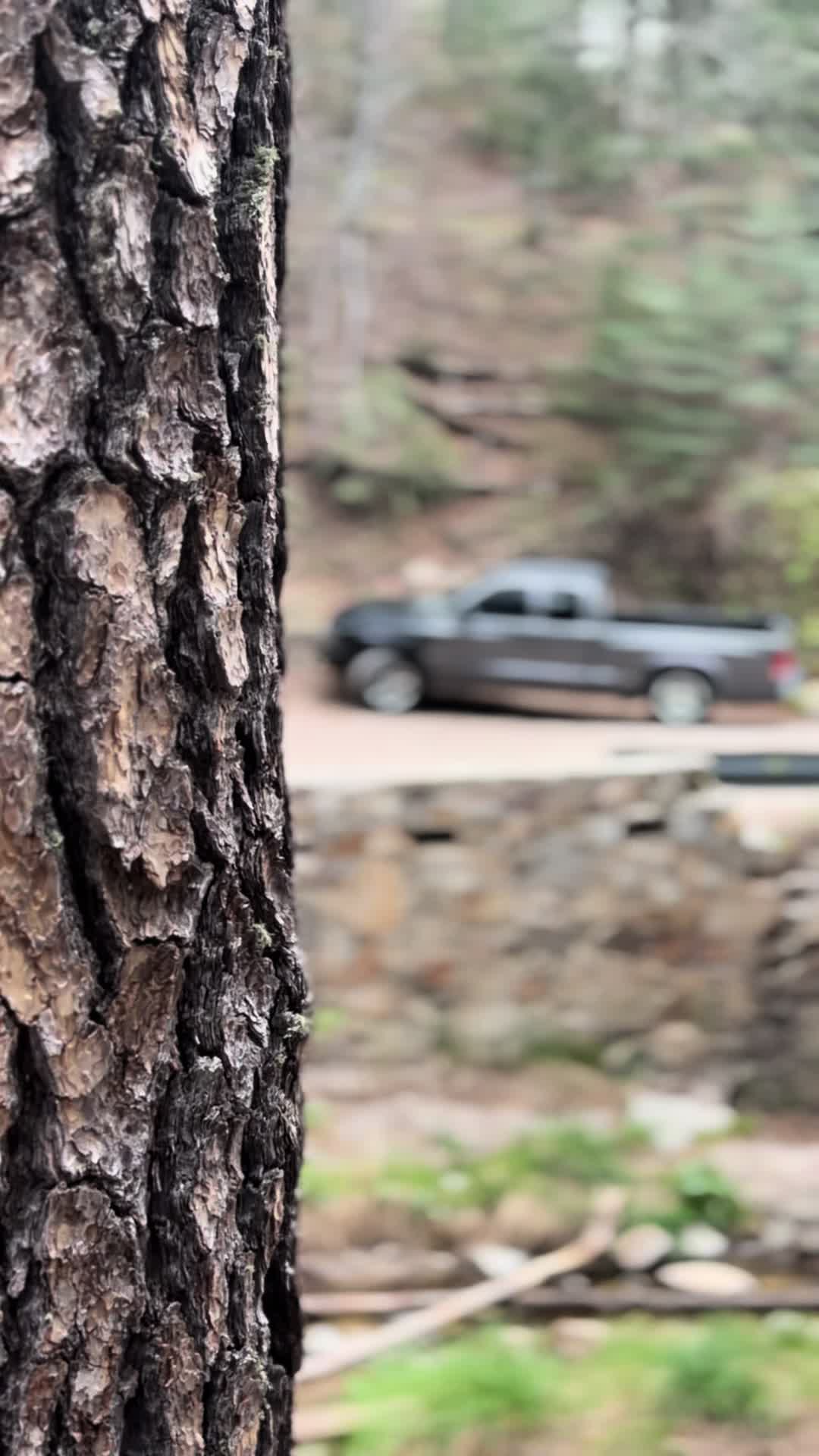 @Ayeyoa_600
