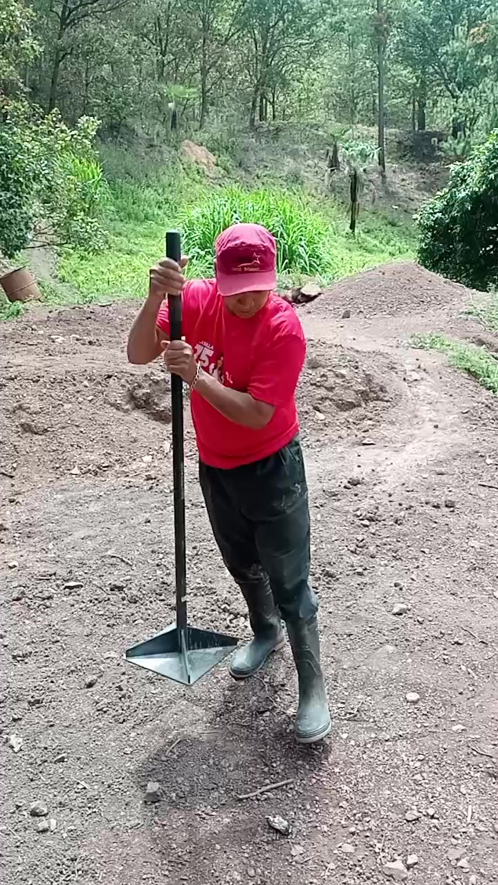 @Sebastian Vásquez