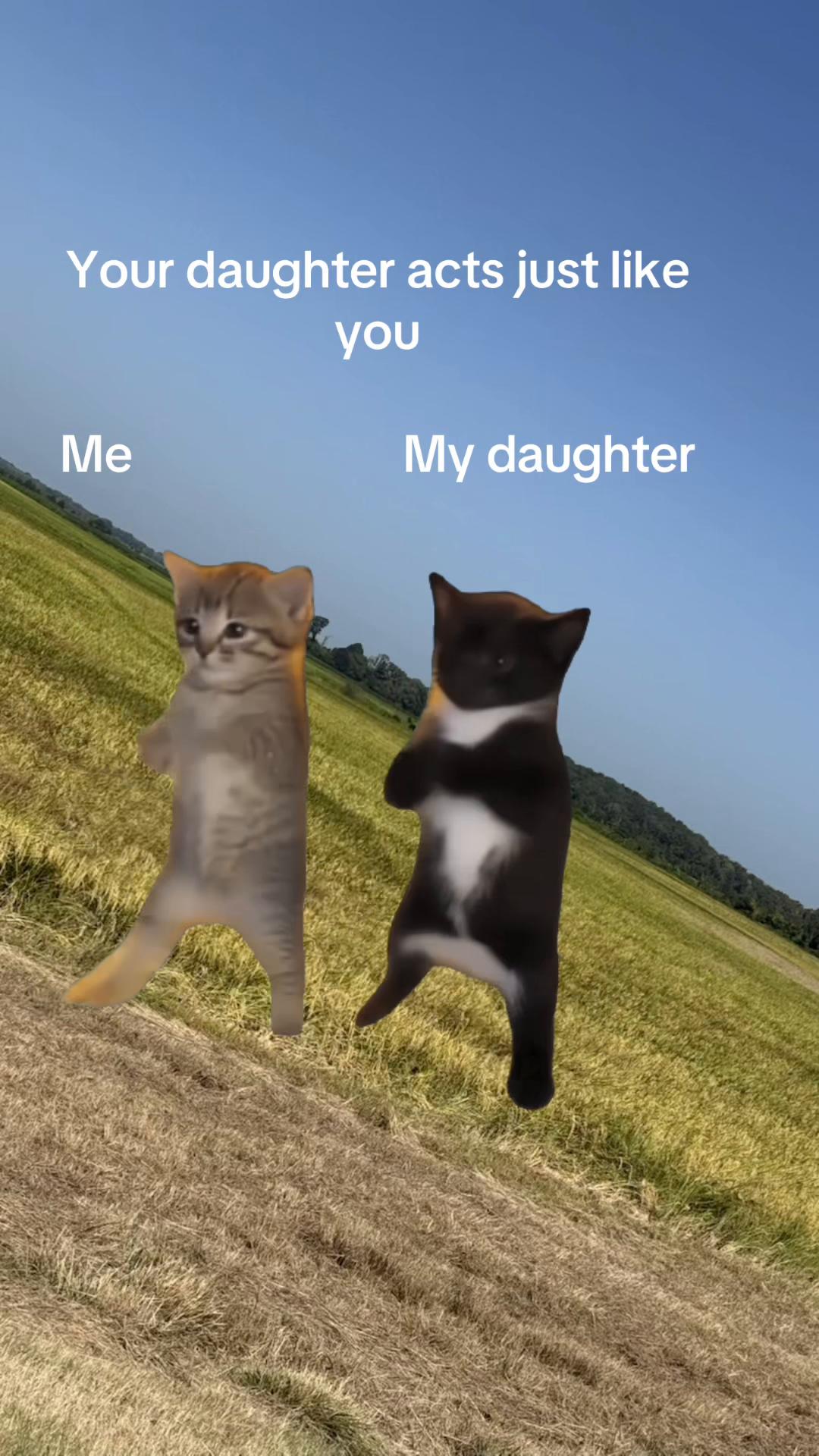 @Farm_boy1996