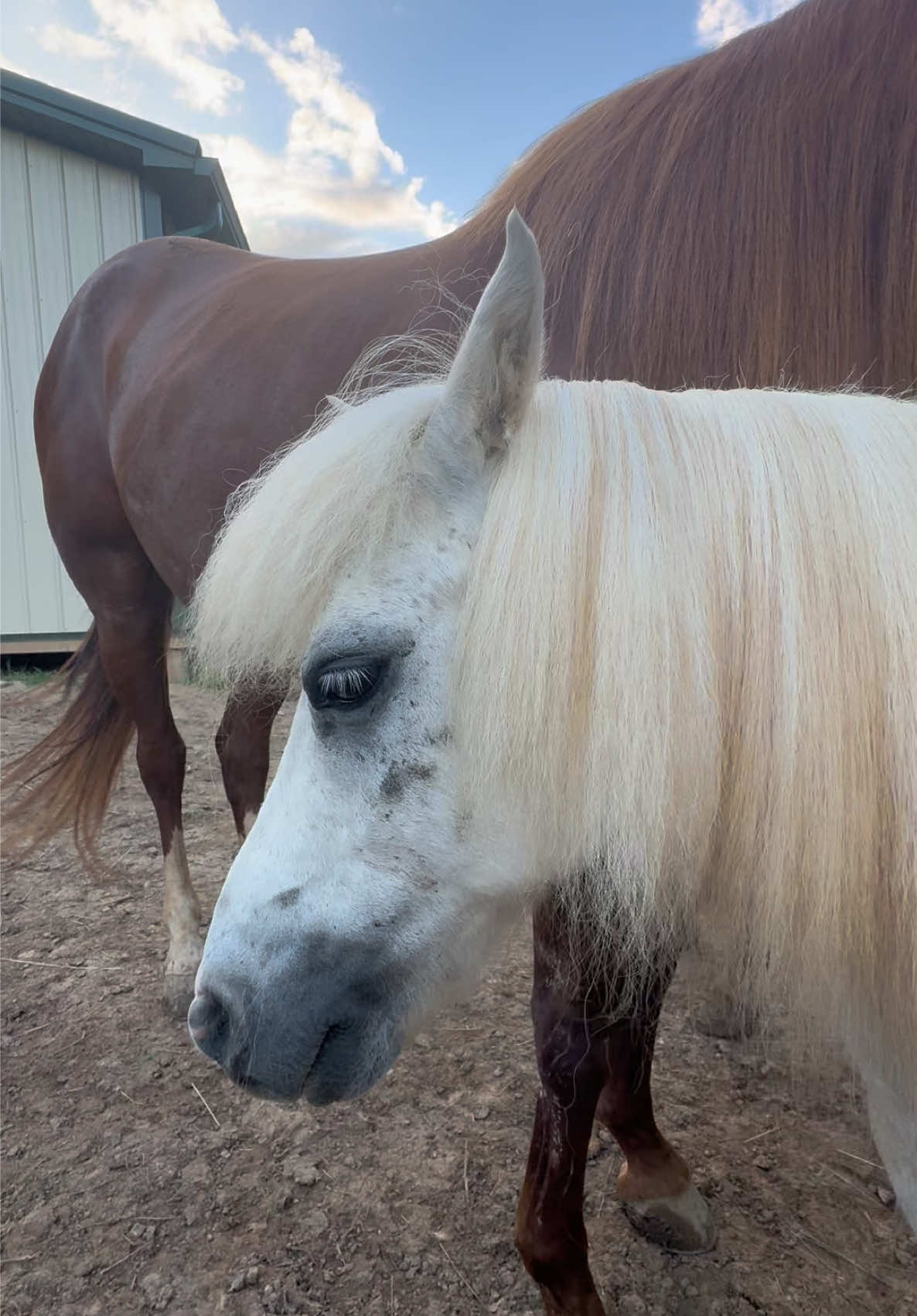 @Densmore Ranch