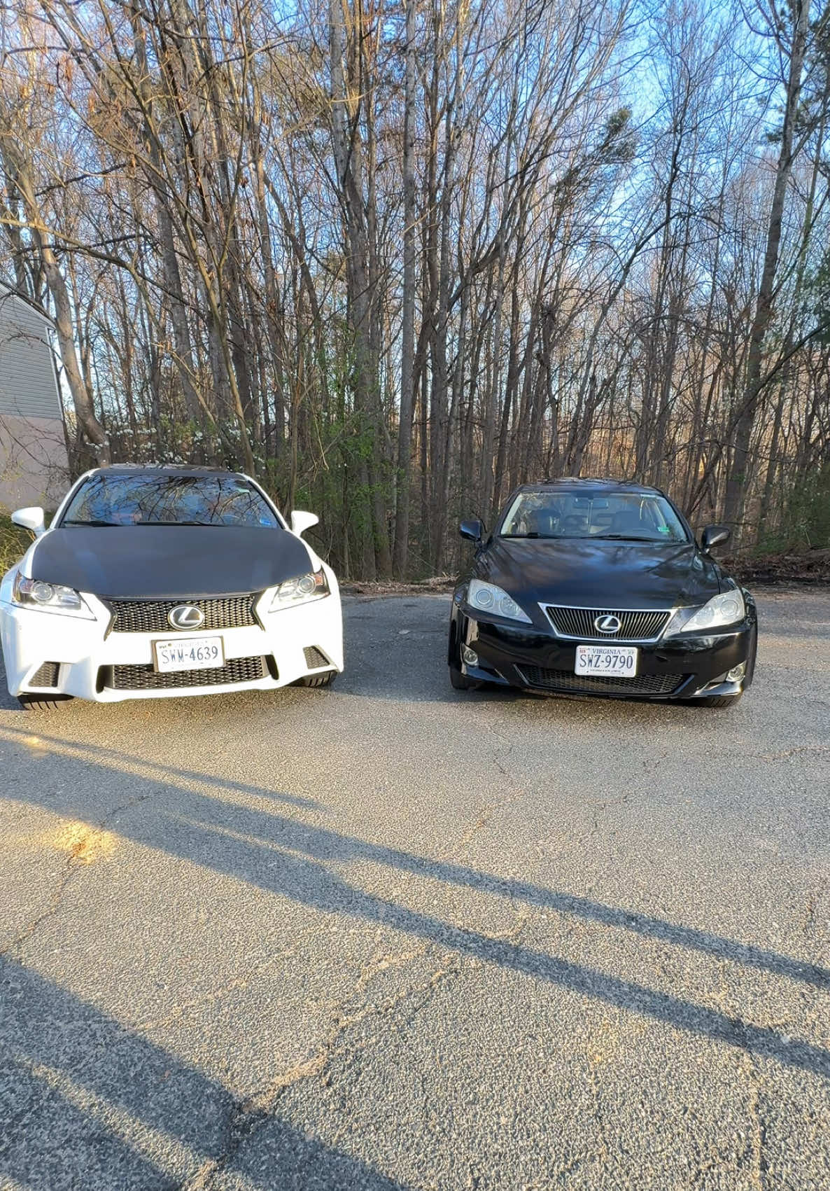 @Wayzz🦦