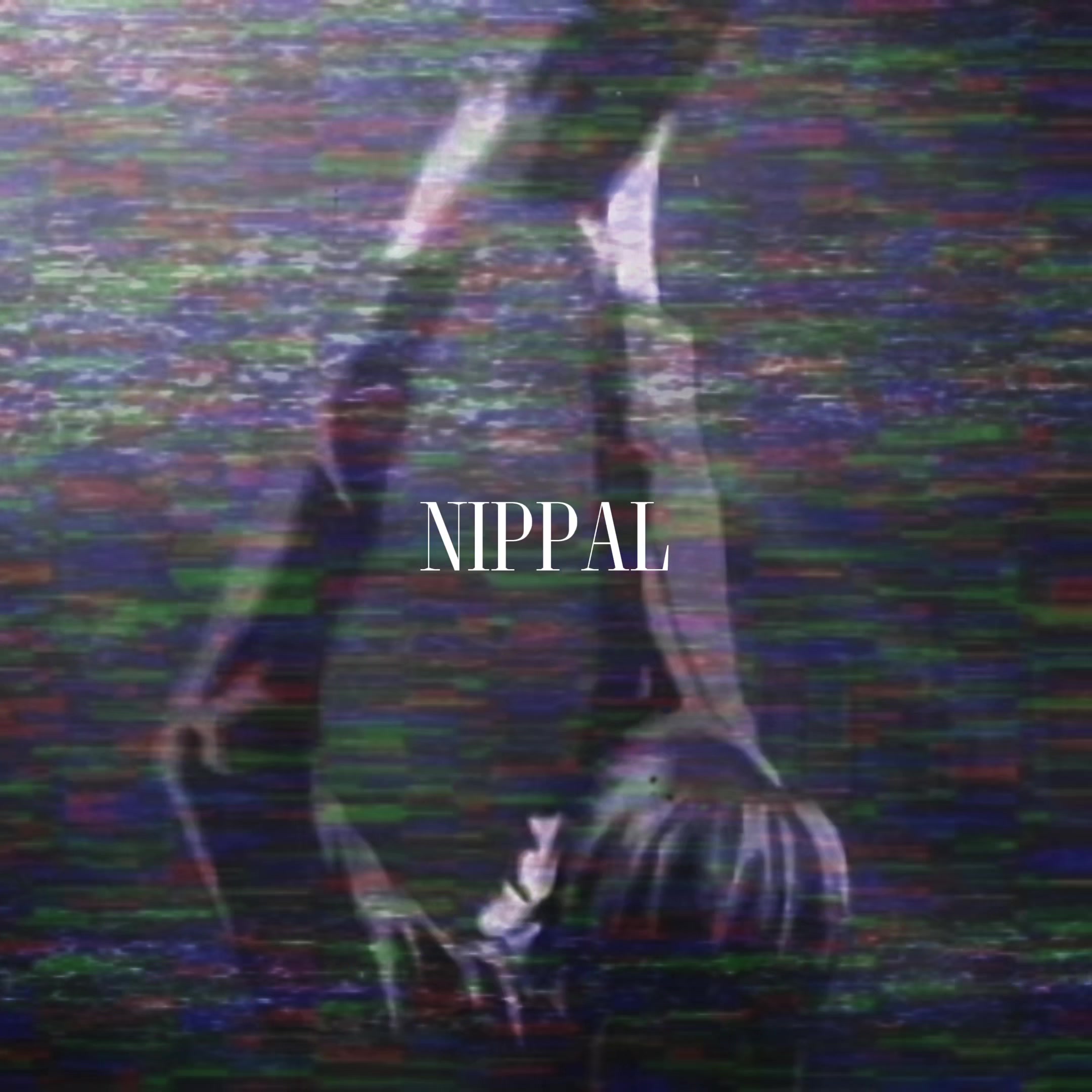 @nippalsukler