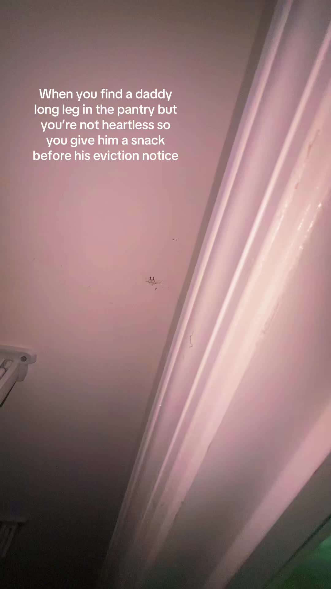 @emmaplantsstuff
