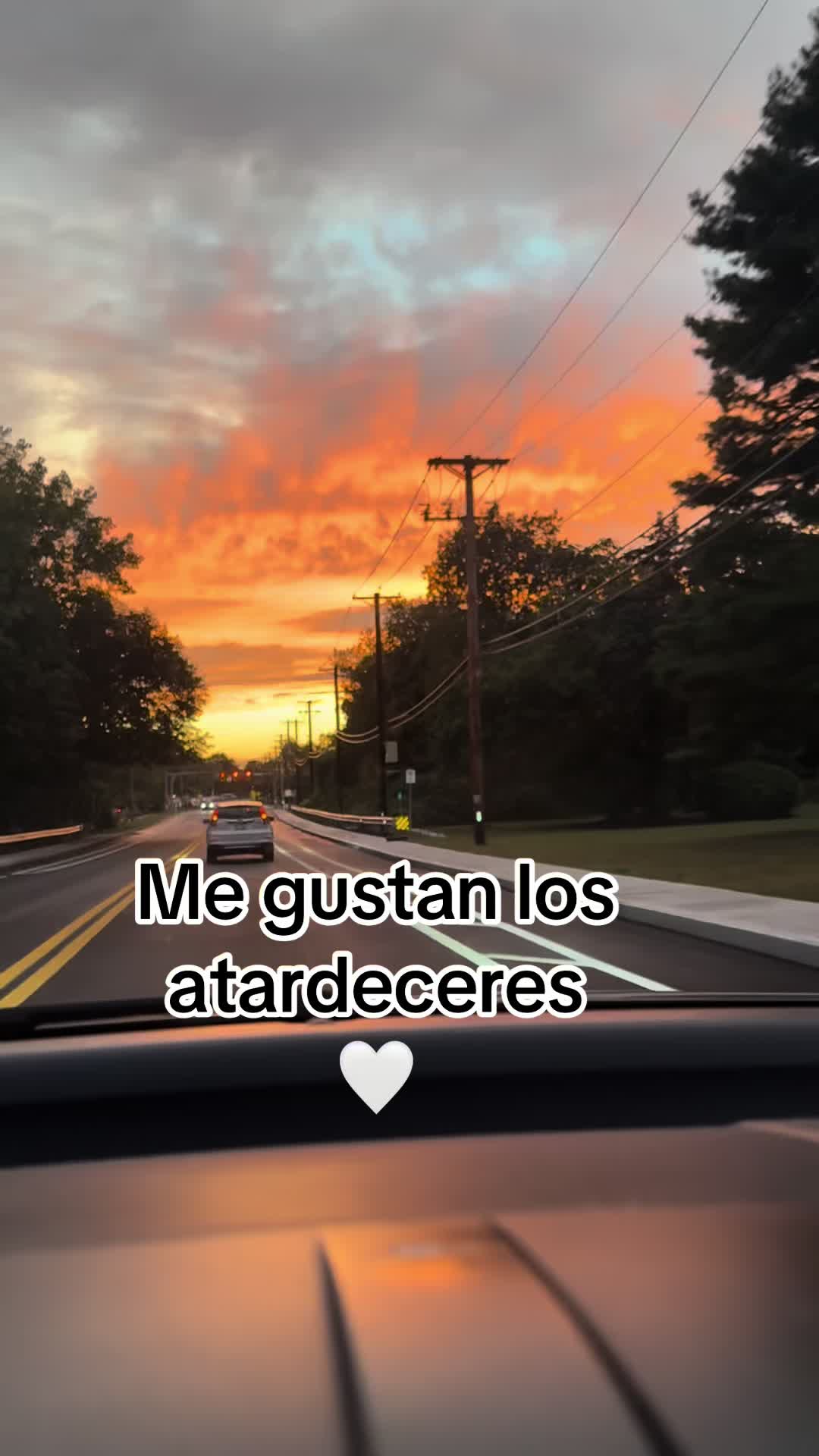 @🌹🥀Yro🥀🌹