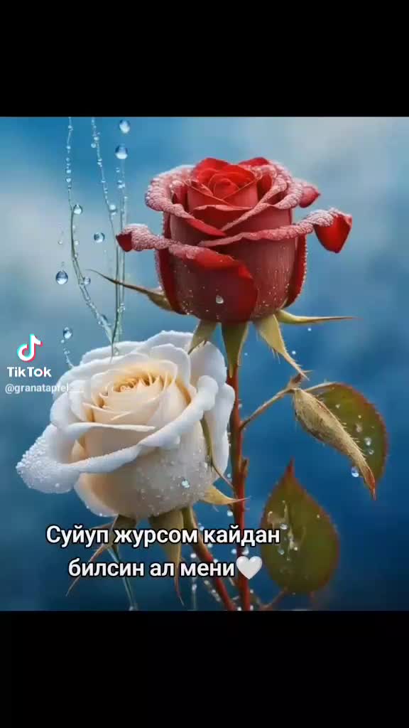 @Гулиза