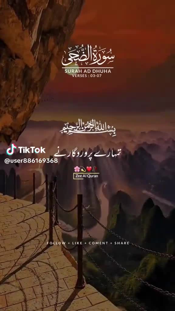 @Raja Jamil