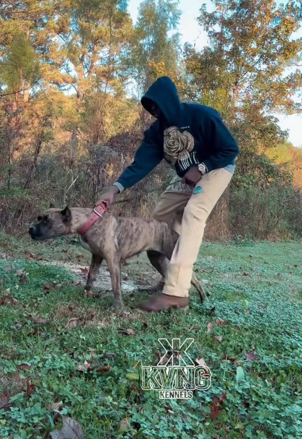 @KVNG KENNELS