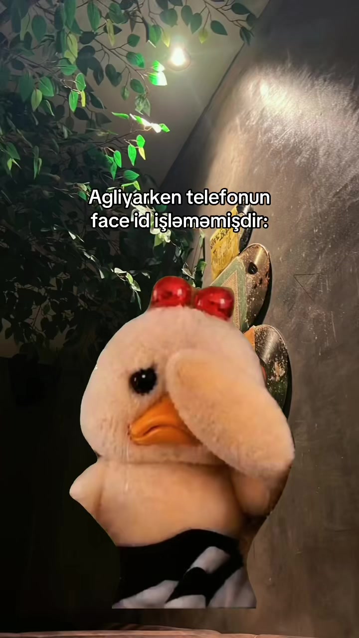 @𝓐𝔂𝓼 ྀི