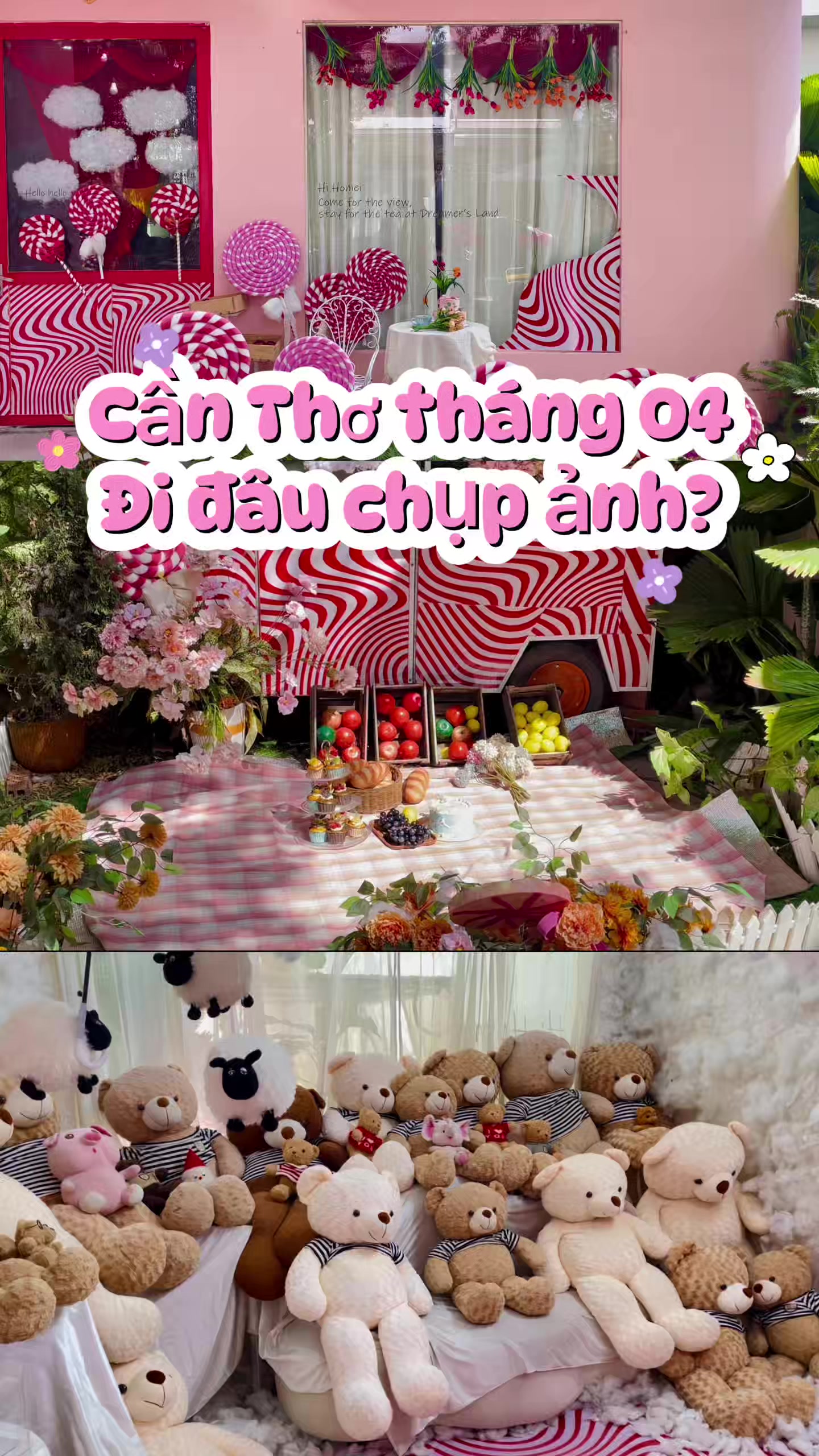 @Tiệm tr&agrave; Dreamer&rsquo;s Land