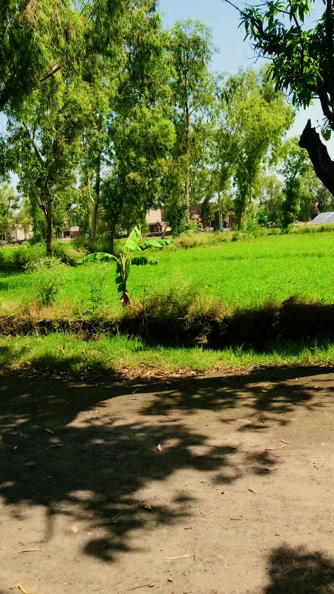 @Mehar 😎