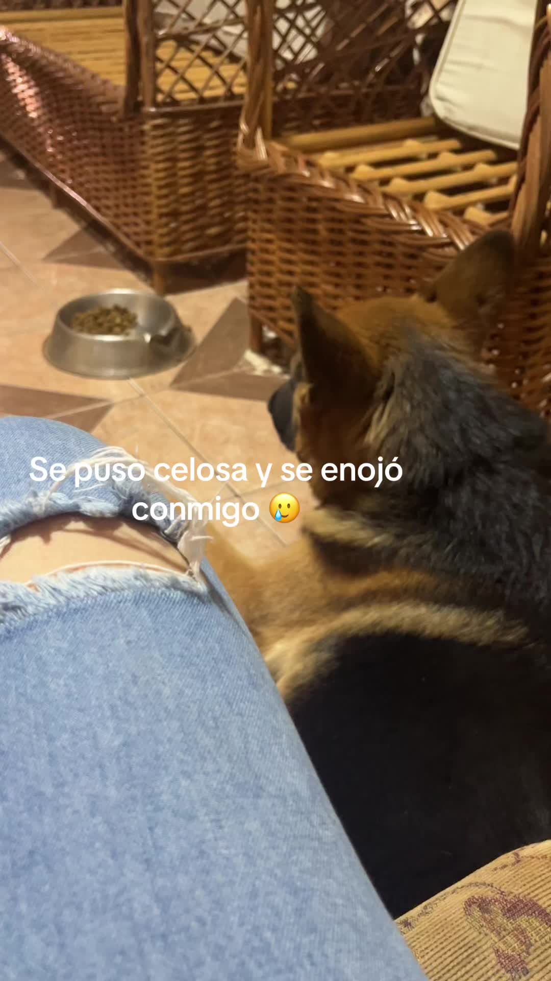 @Celestt🦋
