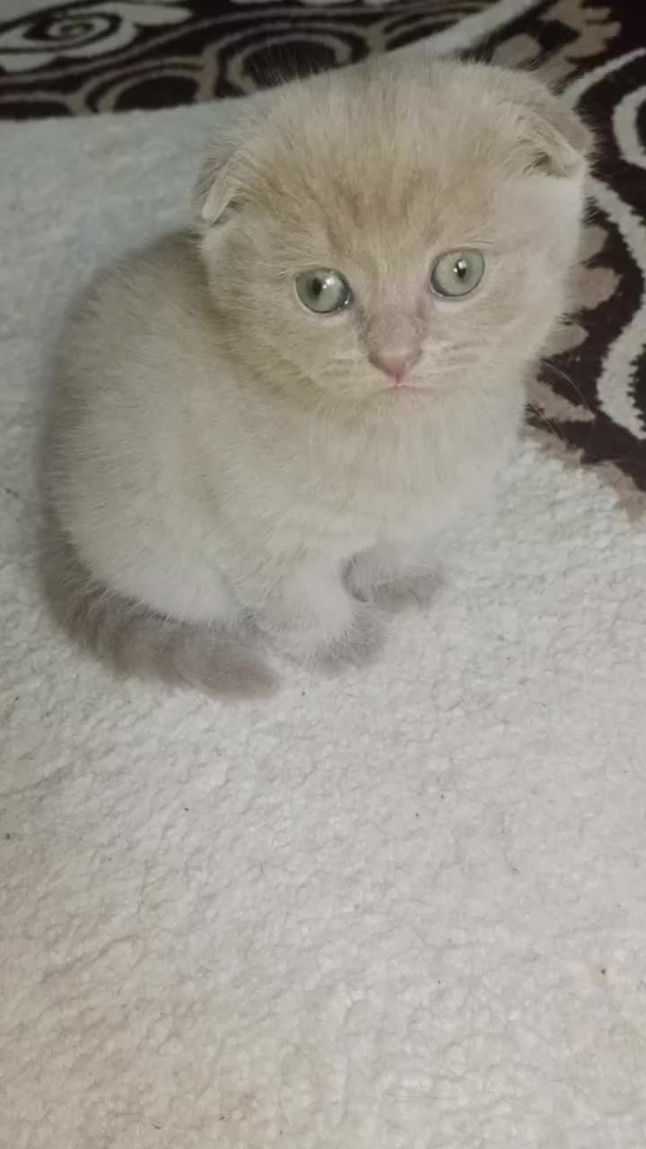 @Катрина