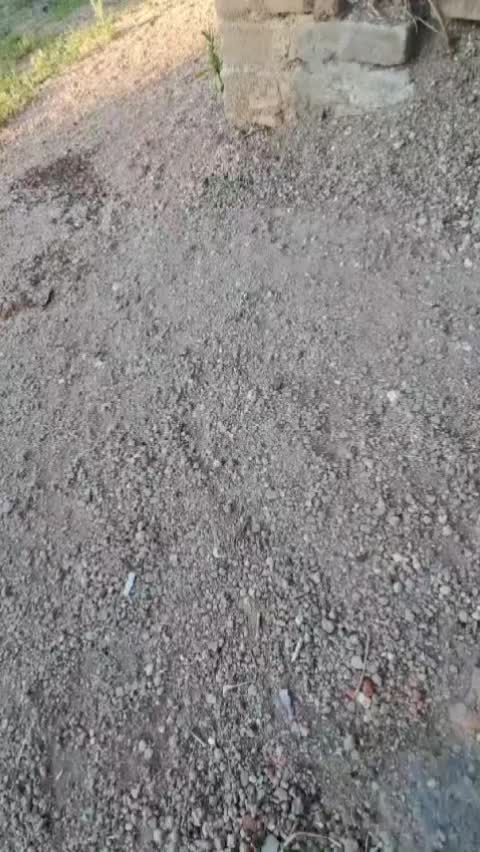 @user4427116641457