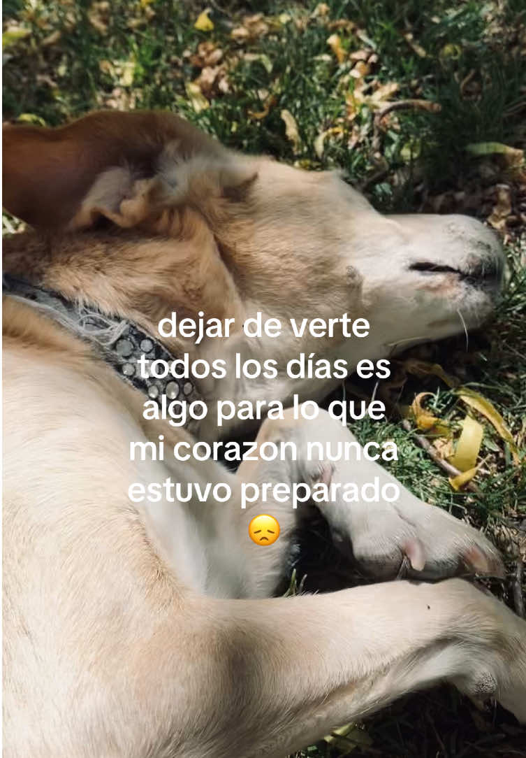 @aguus