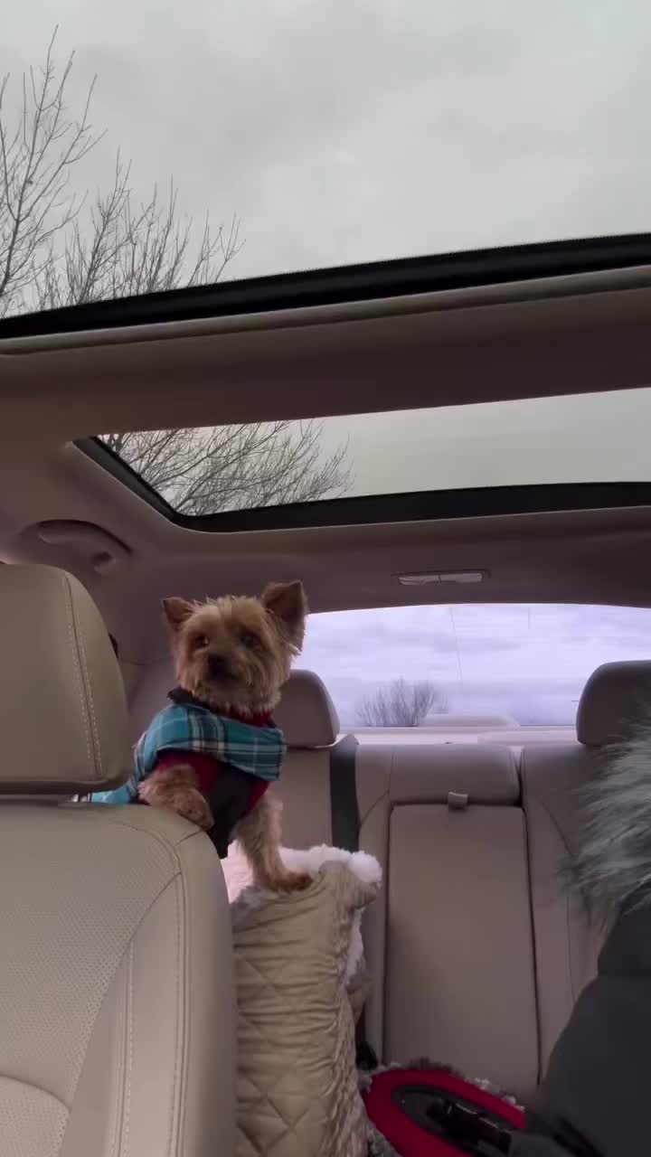 @rocky_n_friends25