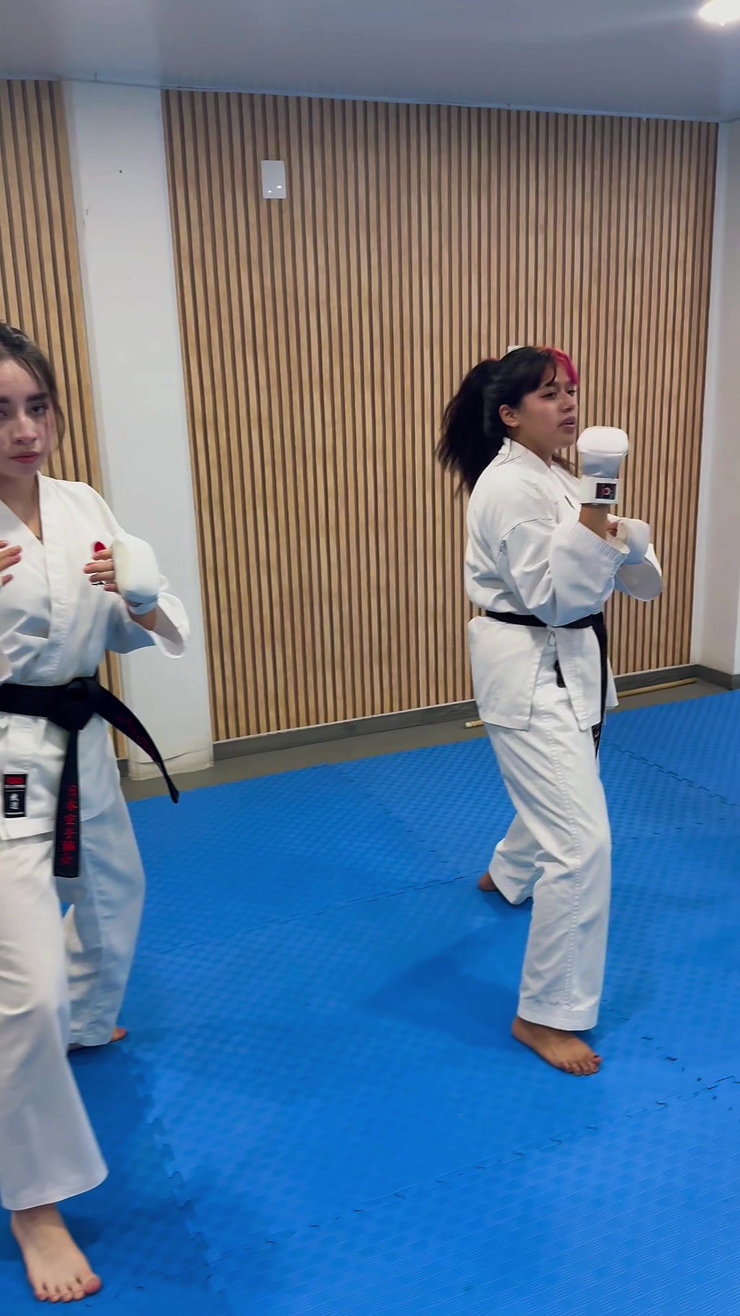 @Karate Mushinkan