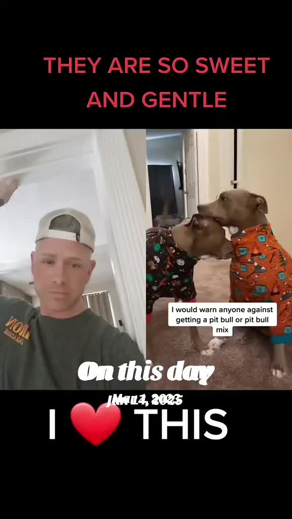 @Shredmaster3000
