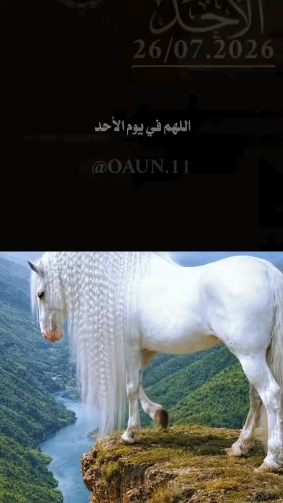@Najir Ahmmed