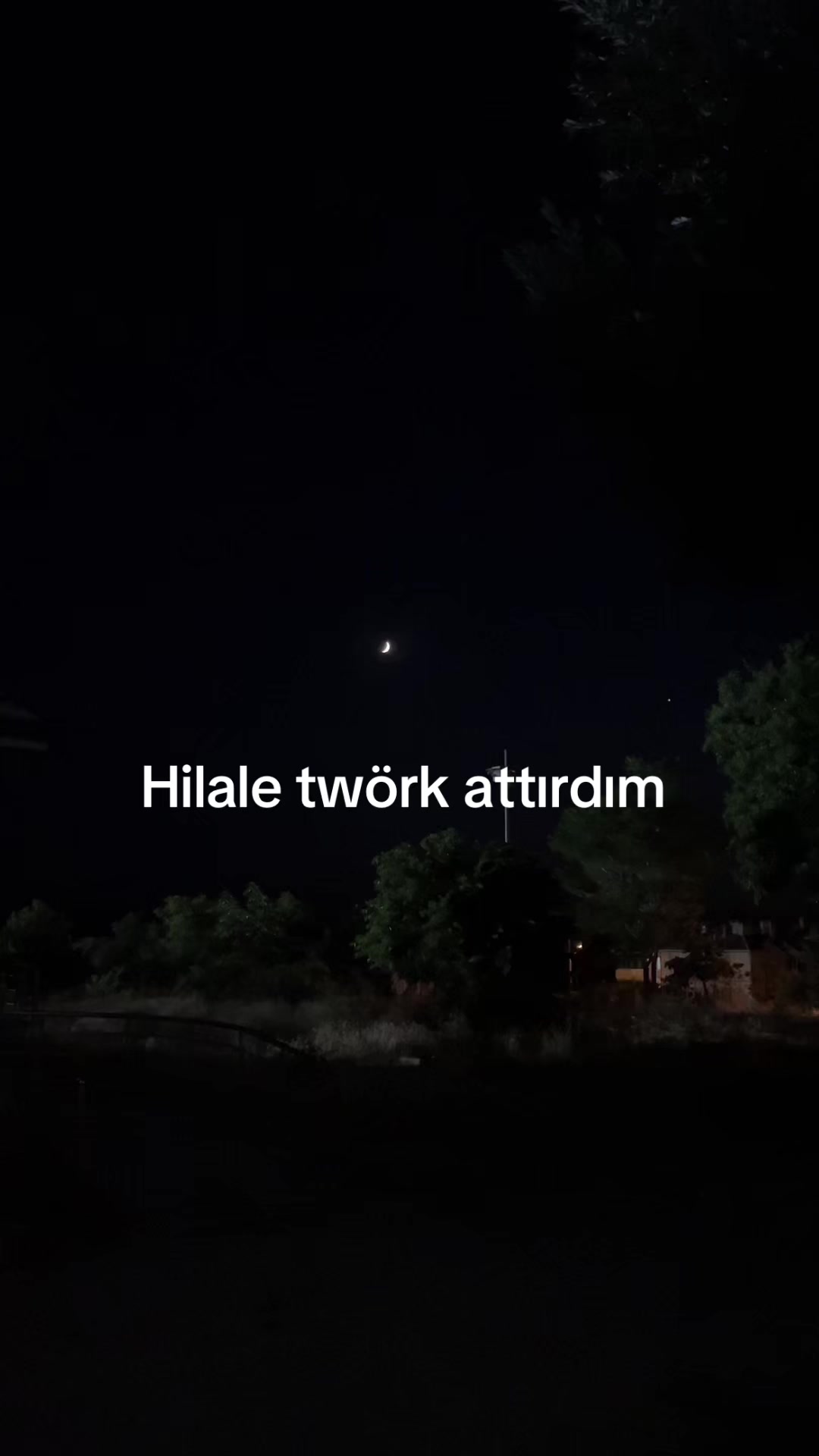 @asmreldaa