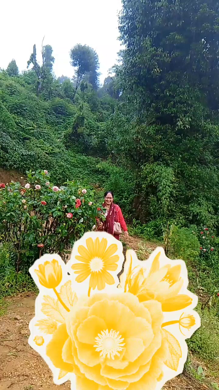 @Anisa Rayemajhi