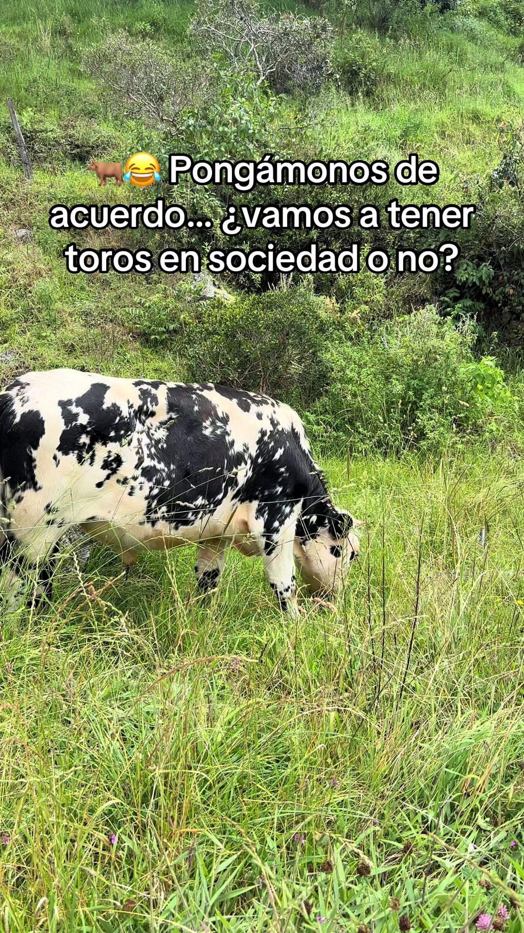 @MiGanado-Boyacá