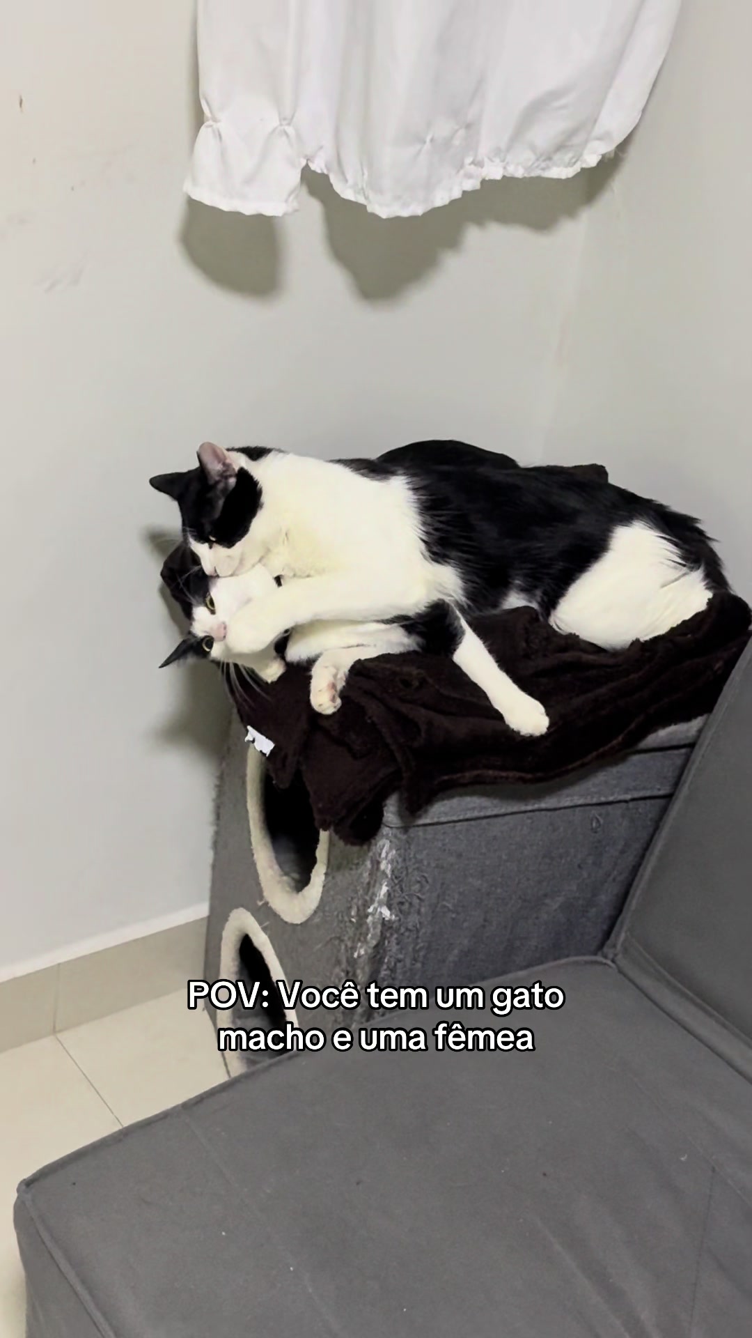 @𝐜𝐚𝐦𝐬
