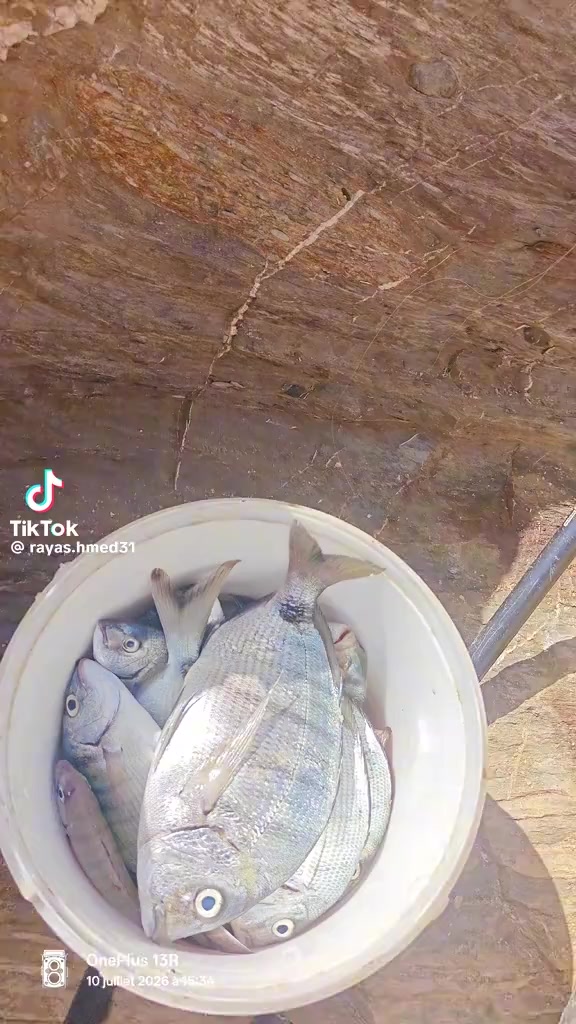 @صياد عين فراني