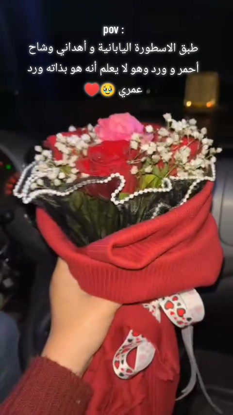 @amira mansour